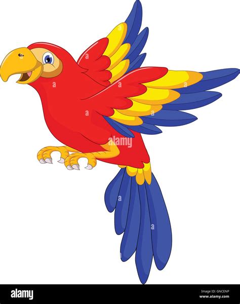 macaw bird cartoon flying Stock Vector Image & Art - Alamy