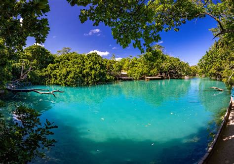 The Blue Lagoon, Port Vila, Efate, Vanuatu Stock Image - Image of ...