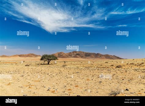 Desert landscape, Namibia Stock Photo - Alamy