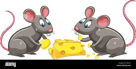 Two rats eating cheese illustration Stock Vector Image & Art - Alamy