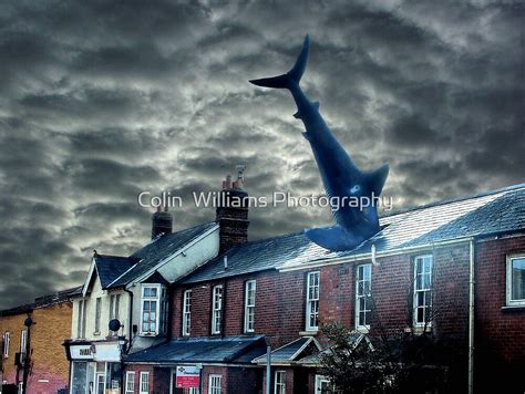 "The Headington Shark" by Colin Williams Photography | Redbubble