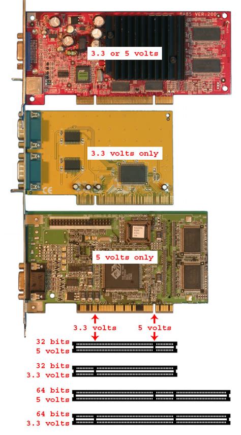 What kind of expansion slot should you use for your video card?