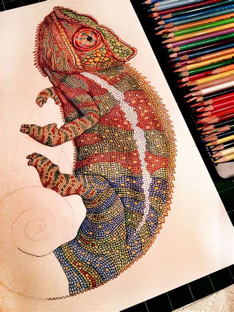 Tim Jeffs Draws Incredibly Detailed Lizards Using Pencil Crayons ...