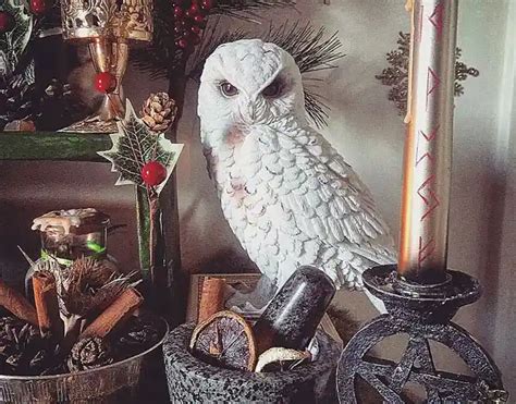 White Owl Symbolism & Meaning: Spiritual, Cultural, & Dream - Bird Guidance