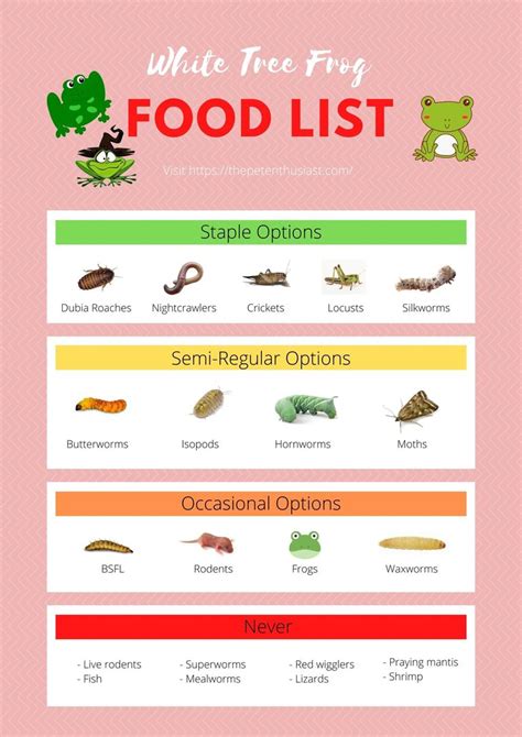 White Tree Frog Diet - Food Chart And Feeding Guide