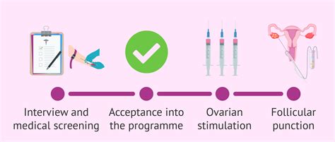 What Are The Single Steps Of Egg Donation?