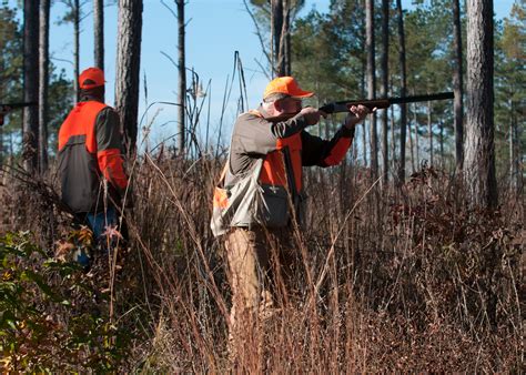 Quail Hunting – Moss Hammock