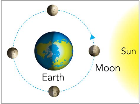 The Earth Moon System - Let's Talk Science