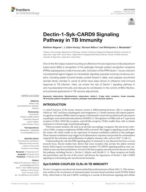 (PDF) Dectin-1-Syk-CARD9 signaling pathway in TB immunity