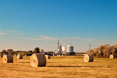 Fodder Storage Assets - STA Accountants - Accounting and Taxation ...