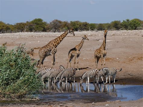 Etosha National Park