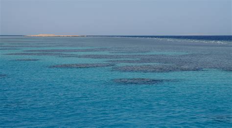 File:Coral reefs in the Red Sea.jpg - Wikimedia Commons