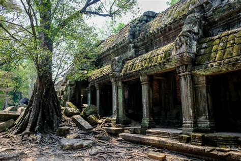 Ta Prohm Temple Ruins: Famous Angkor Wat Tree (Cambodia)