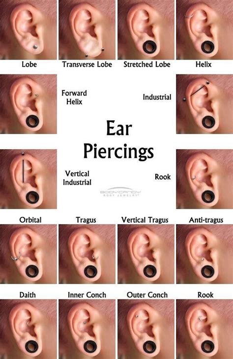 Pin by Michele Solis on Stuff I like | Ear piercing names, Ear piercing ...