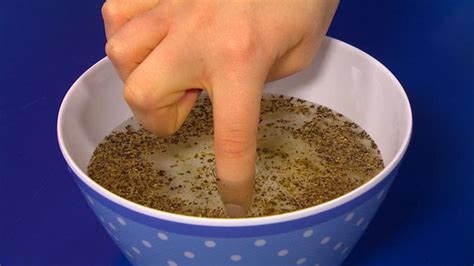 Germs experiment with pepper and soap - CBeebies - BBC