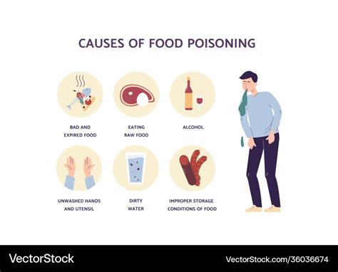 Food poisoning causes - medical infographic poster