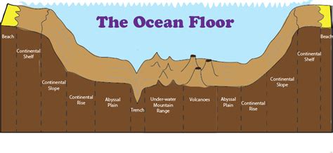 Ocean Floor Features Map | Review Home Co