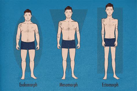 What's your body type? Ectomorph, Mesomorph & Endomorph