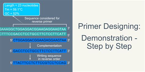 Primer Designing - Demonstration step by step - Sharebiology