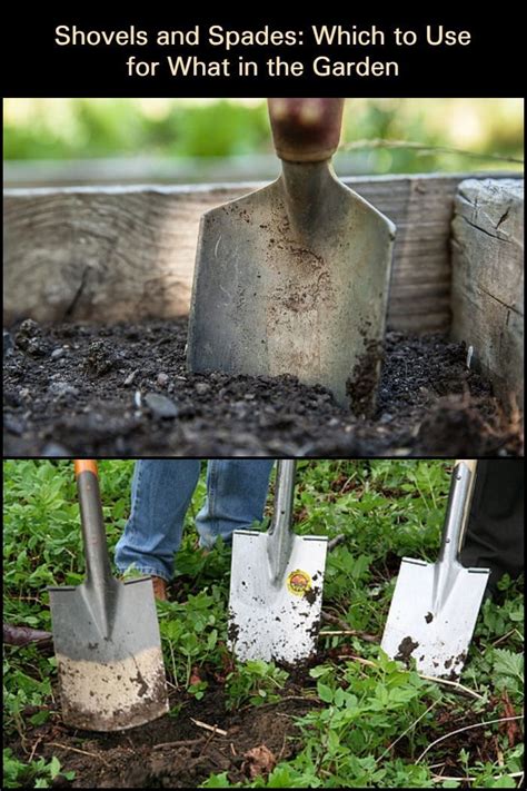 Shovels and Spades: Which to Use for What in the Garden in 2020 ...