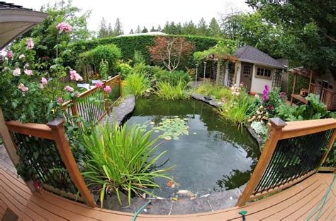 Maintenance And Care For Your Pond