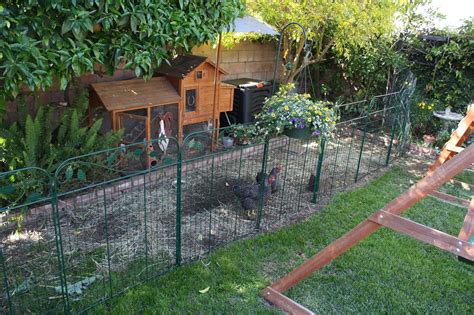 Sunny Simple Life: The New Chicken Fence