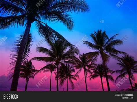 Miami Beach South Image & Photo (Free Trial) | Bigstock