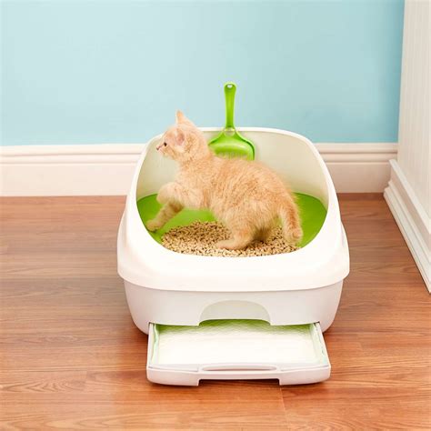 The 9 Best Cat Litter Boxes of 2021