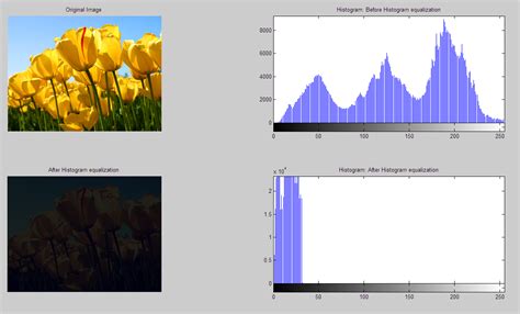 matlab - Histogram Equalization: Converting histogram to 32 bins ...