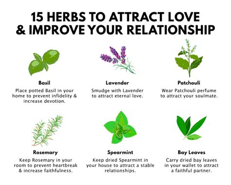 15 Herbs to Attract Love into Your Life (& Improve Relationships)