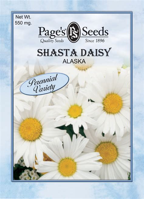 Daisy, Shasta Alaska | The Page Seed Company, Inc