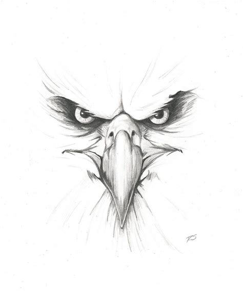 Eagle Drawing at GetDrawings | Free download