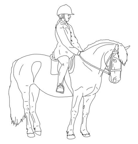 Horse Rider Drawing at GetDrawings | Free download