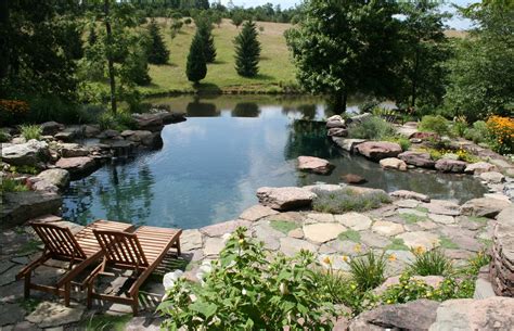 115 Nature-Inspired Pool with Vanishing Edge | Natural backyard pools ...