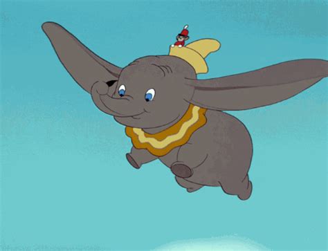 Flying Elephant GIFs - Find & Share on GIPHY