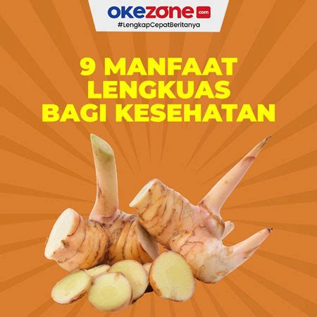 9 Manfaat Lengkuas Bagi Kesehatan 0 : Foto Okezone Infografis