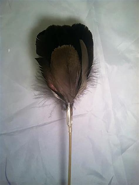 Natural Goose Feather Toy - Pet Toys