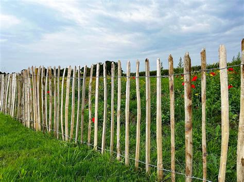 Types of agricultural fencing | Jacksons Fencing