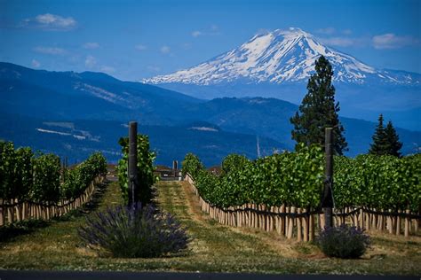 Best Stops Along the Hood River Fruit Loop in Oregon | Two Wandering Soles