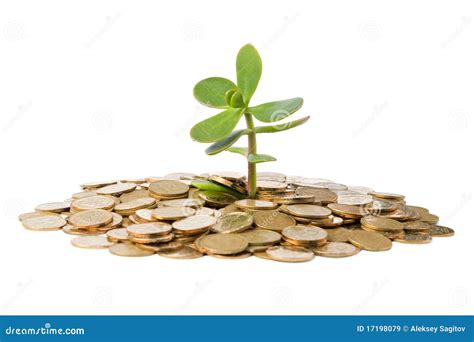 Money Tree Growing From A Pile Of Coins. Royalty-Free Stock Photo ...