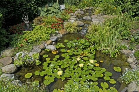 Shallow pond | Landscaping with rocks, Backyard water feature ...