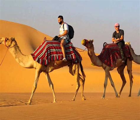 Camel Riding In Dubai | DUBAI ADVENTURES