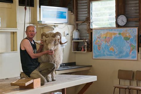 A True experience of New Zealand sheep shearing at The Point