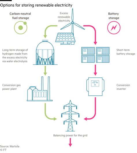 Provides Short Term Energy Storage For Plants - Plants BA