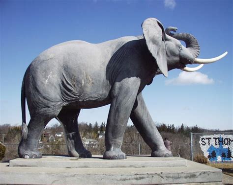 1000+ images about Jumbo the Elephant on Pinterest | Canada, On ...