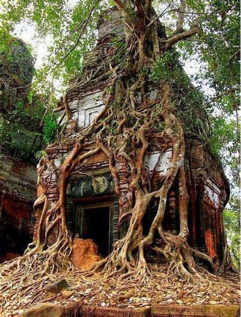 Cambodia Abandoned Buildings, Abandoned Mansions, Abandoned Places ...