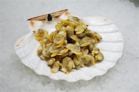 Clam meat (454g, frozen) | Pure Seafood