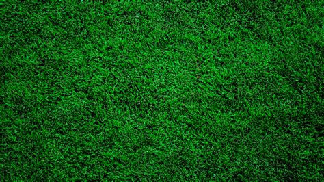 Green Grass Backgrounds - Wallpaper Cave