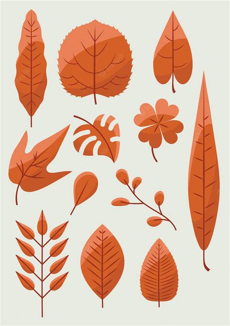 Premium Vector | Collection of leaf (brown)