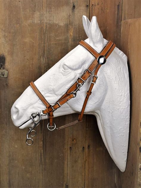 Combination Halter Bridle - The Saddle Guy - Why not own the best!